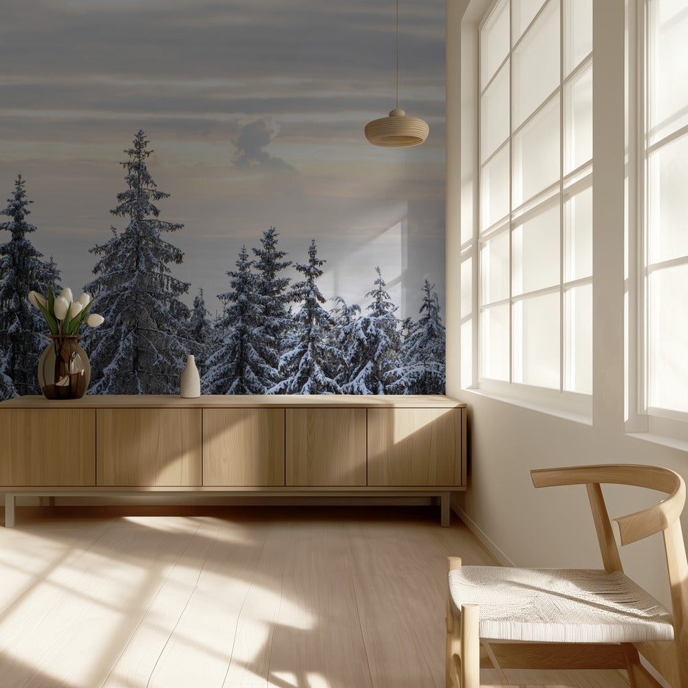 Snow Covered Trees 8 | Wallpaper