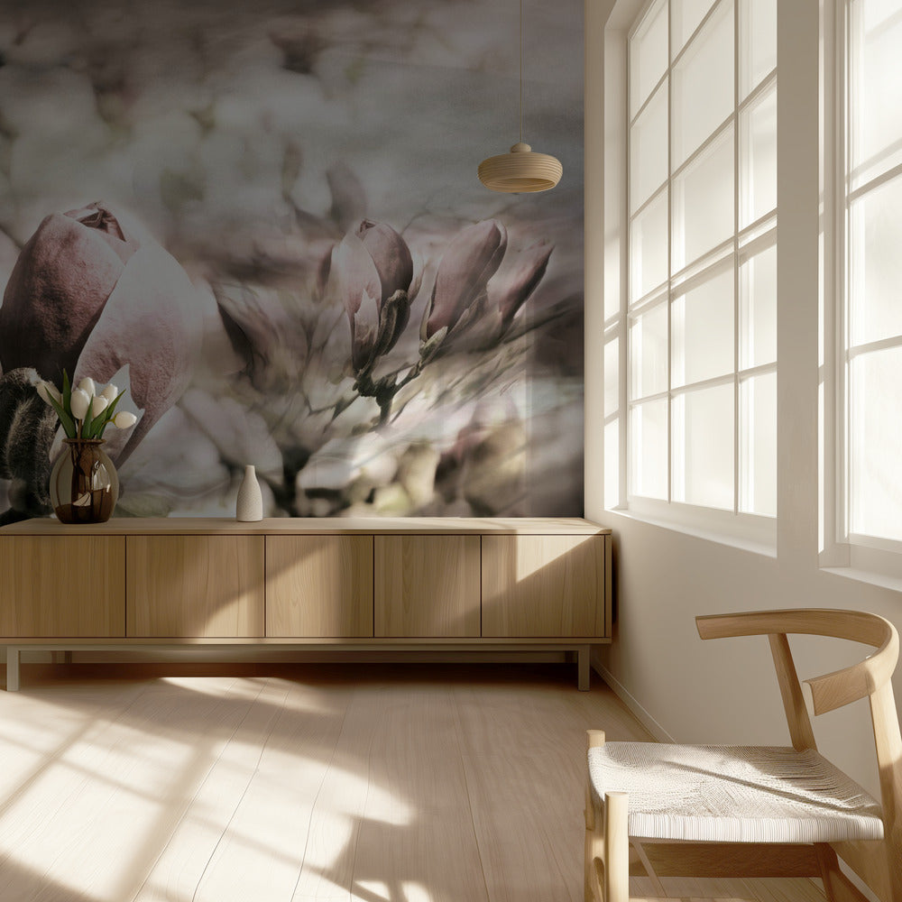 Wiosna magnolii | Fototapeta