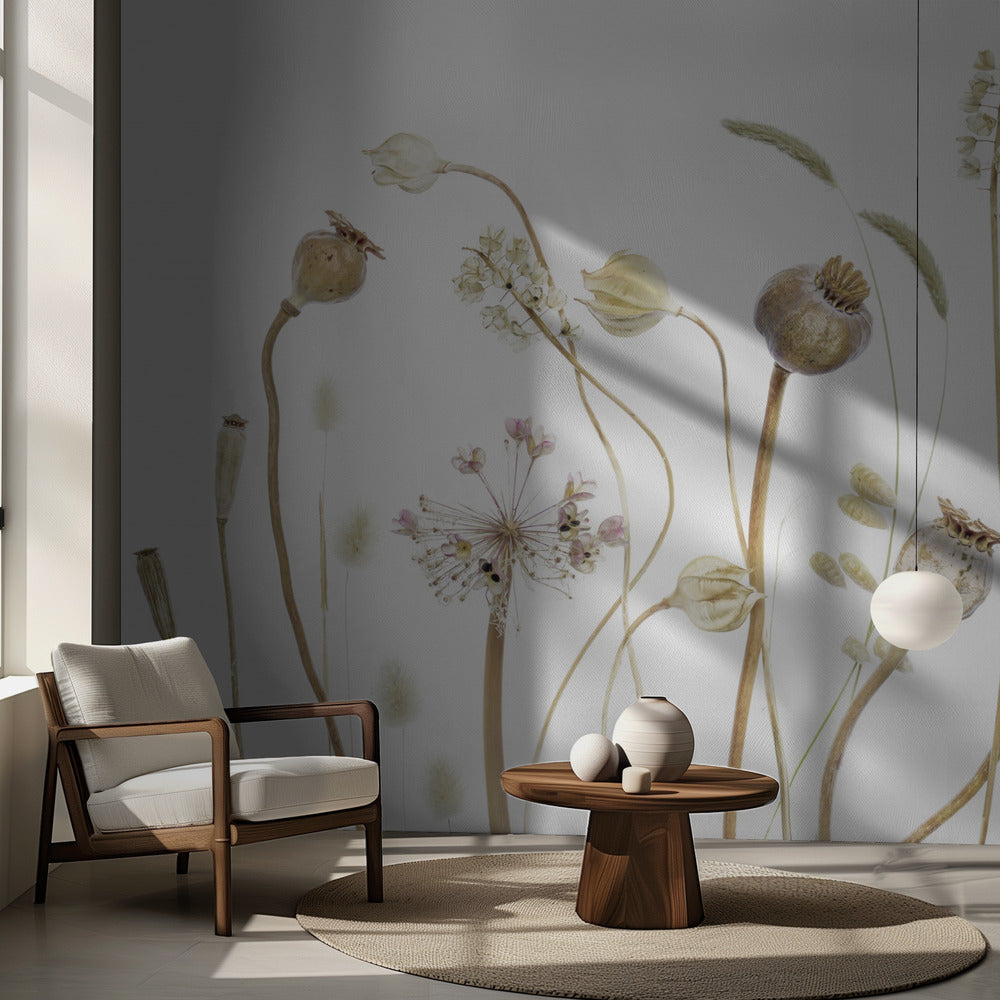 Capsules | Fond d'écran