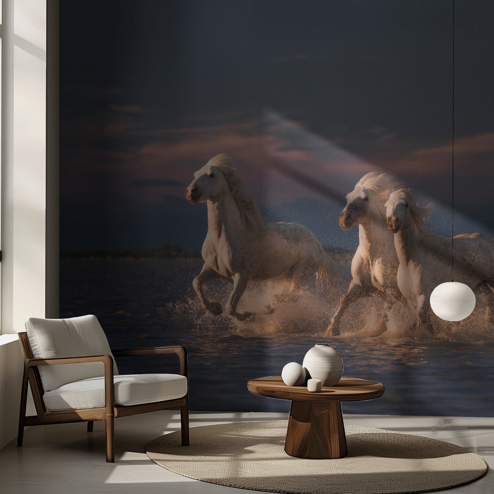 Anges de Camargue | Fonds d'écran