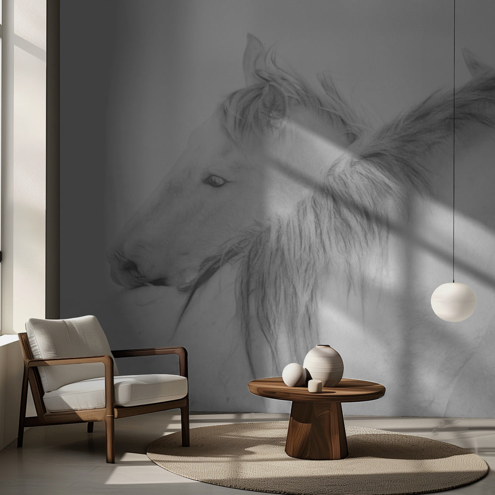 Chevaux | Fond d'écran