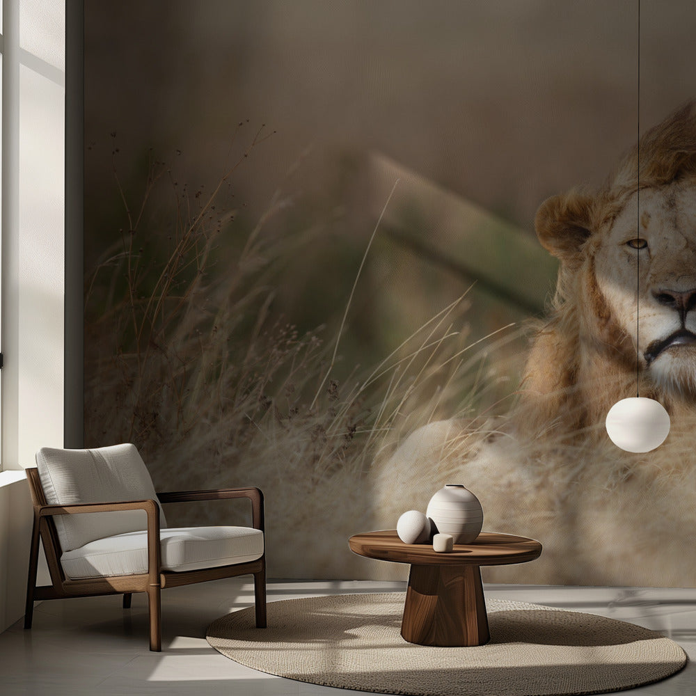 Magnifique ! | Fond d'écran