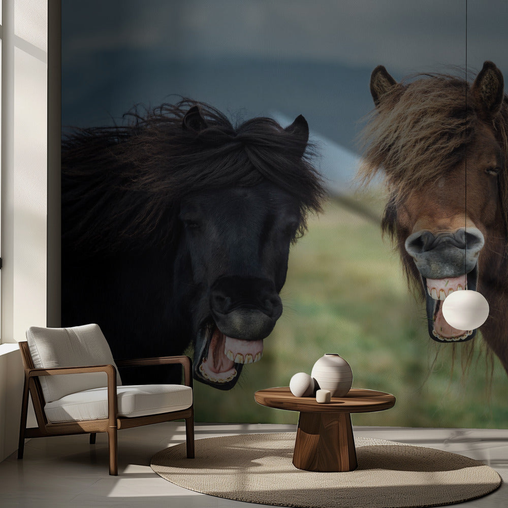 SOURIRE SAUVAGE | Fond d'écran