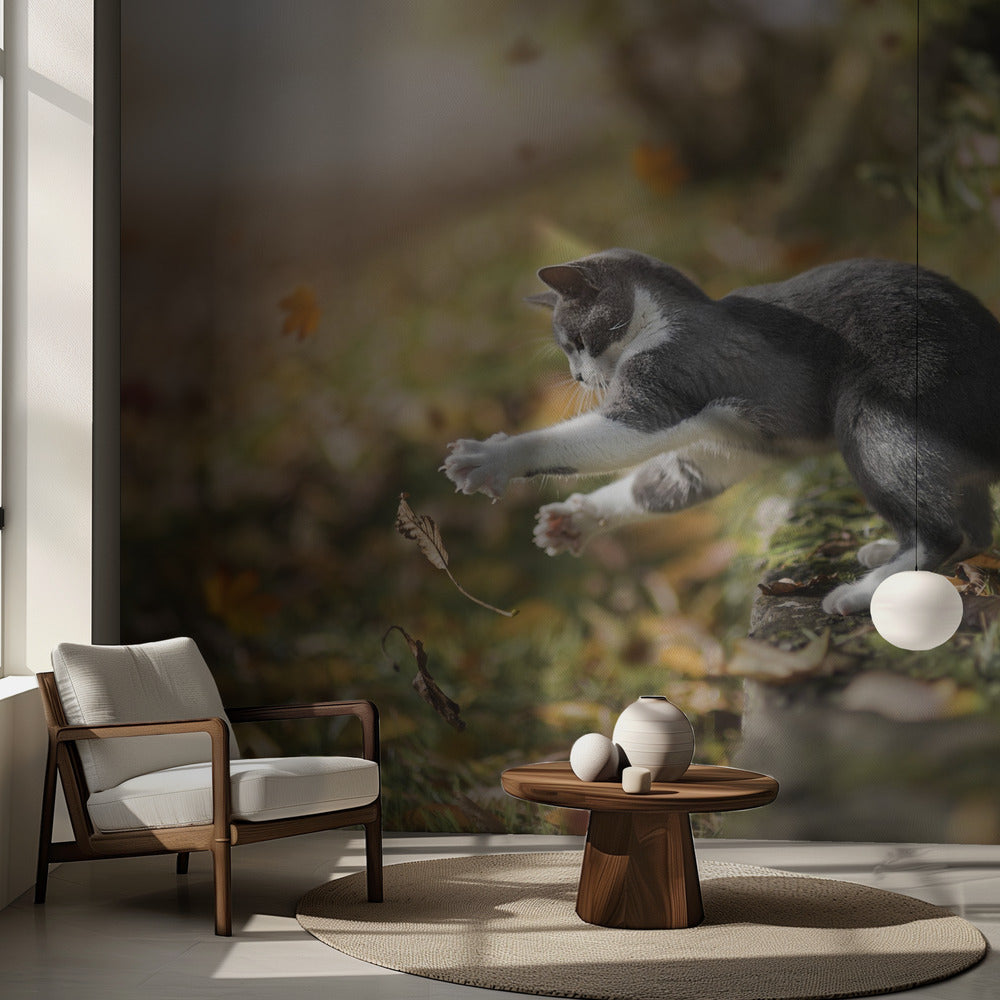 Jeu d'automne | Fond d'écran