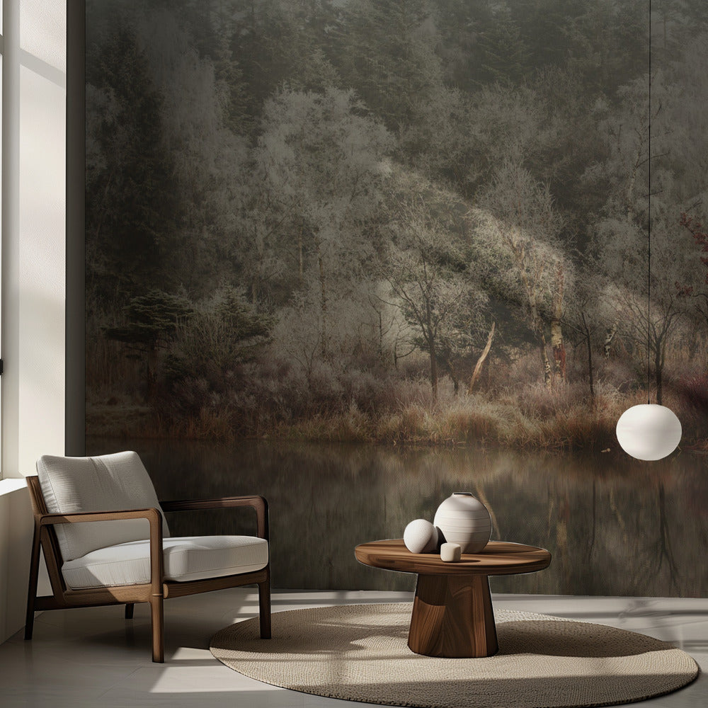 La Reine des Neiges | Fond d'écran