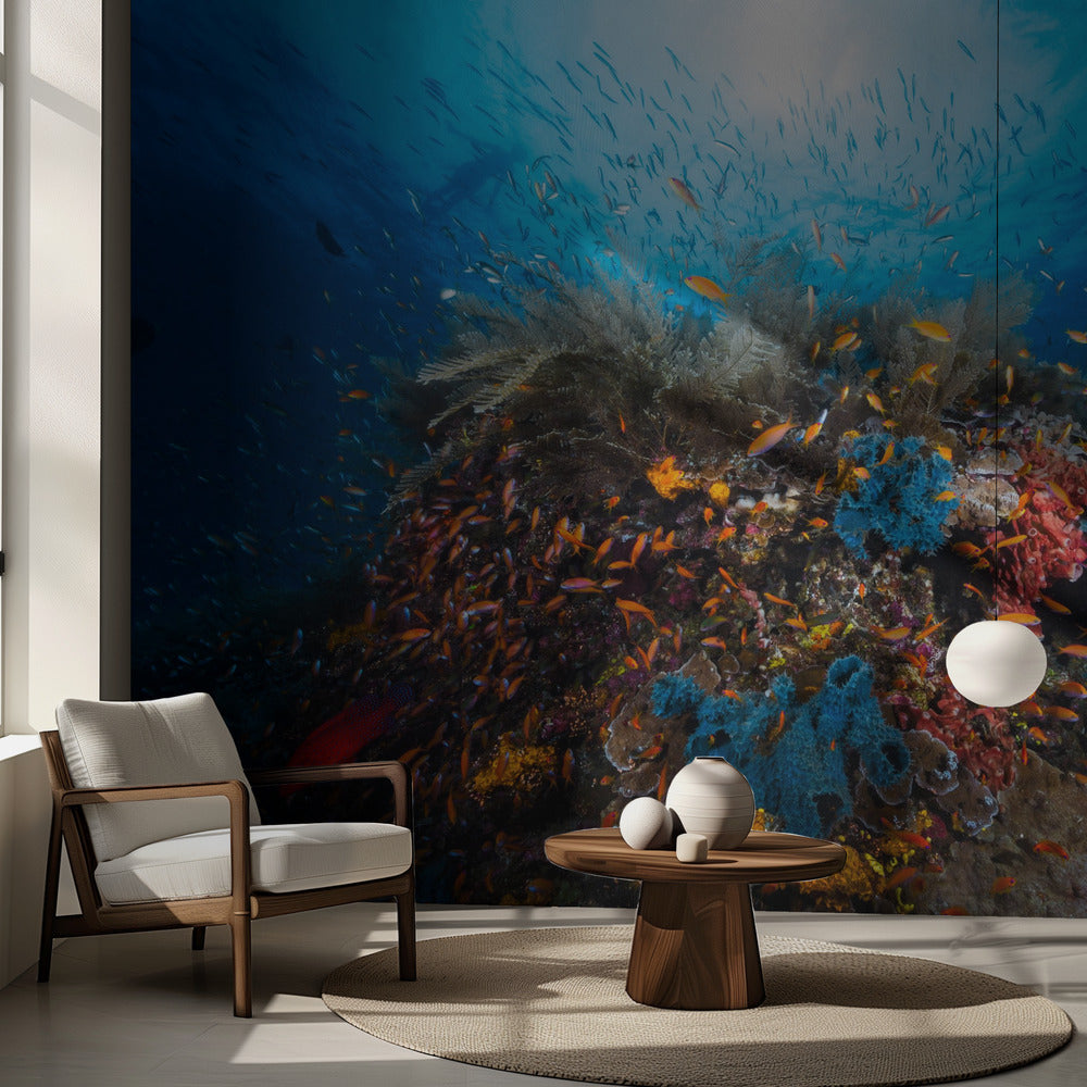 Apnée | Fond d'écran