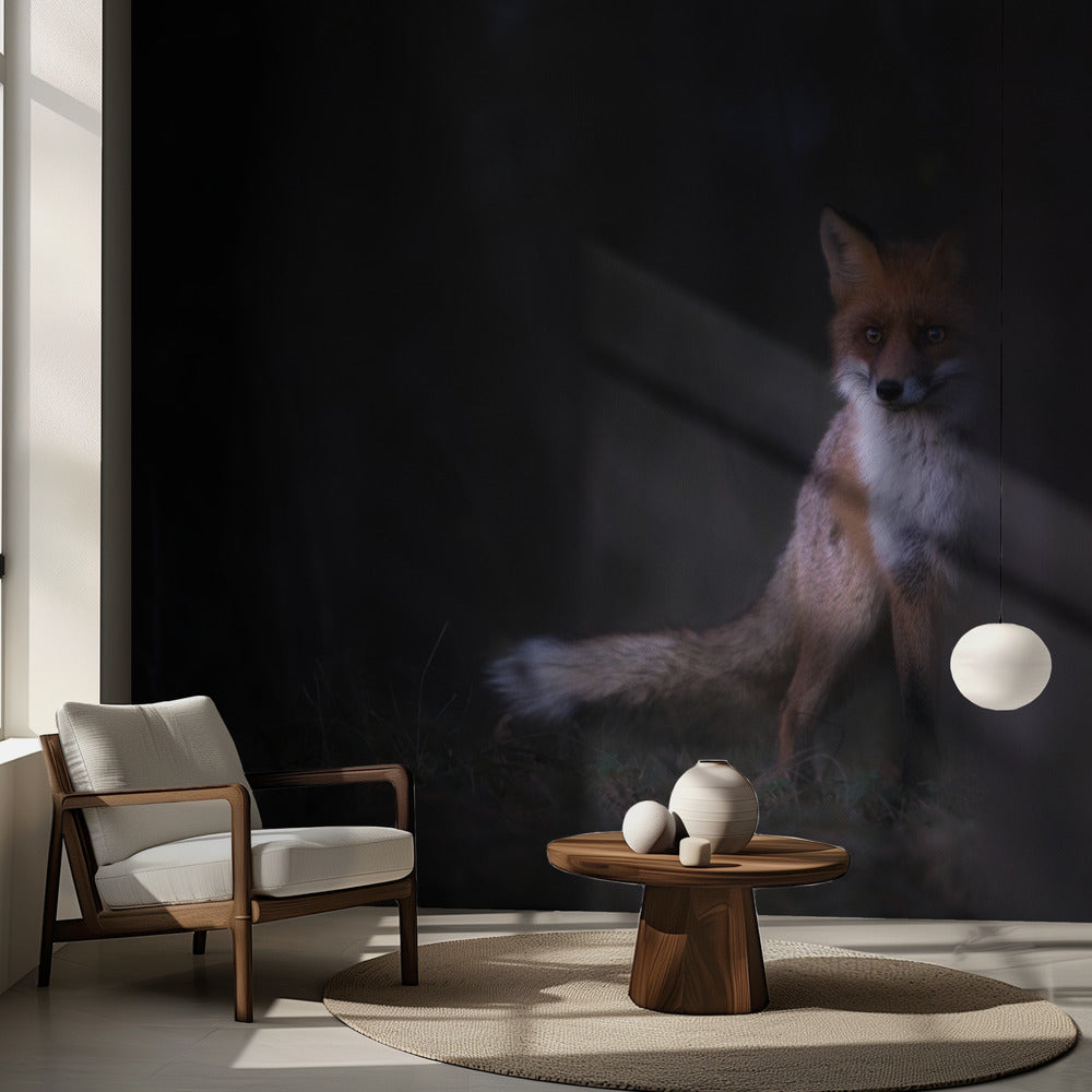 Coups d'œil | Fond d'écran