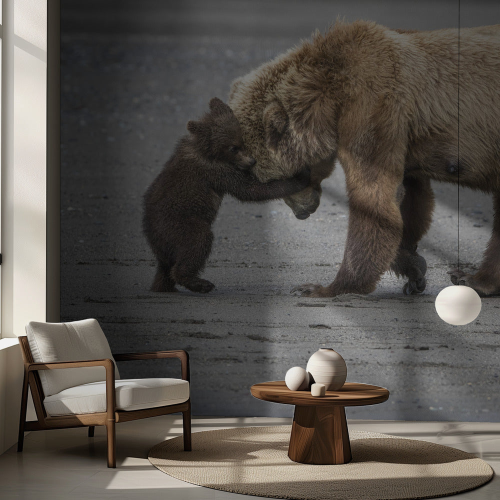 Un petit câlin d'ours | Fond d'écran