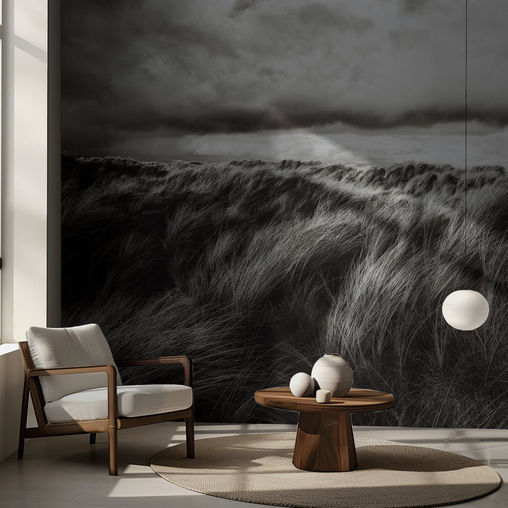 Dunes d'herbe | Fond d'écran