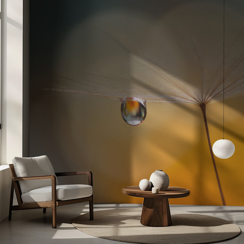 Musique de la Petite Nuit... | Fonds d'écran