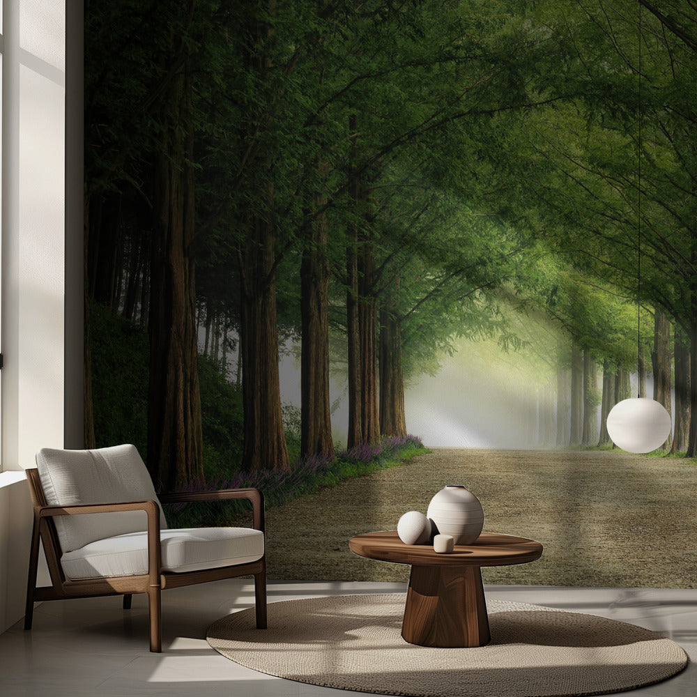 Route du métaséquoia | Fond d'écran