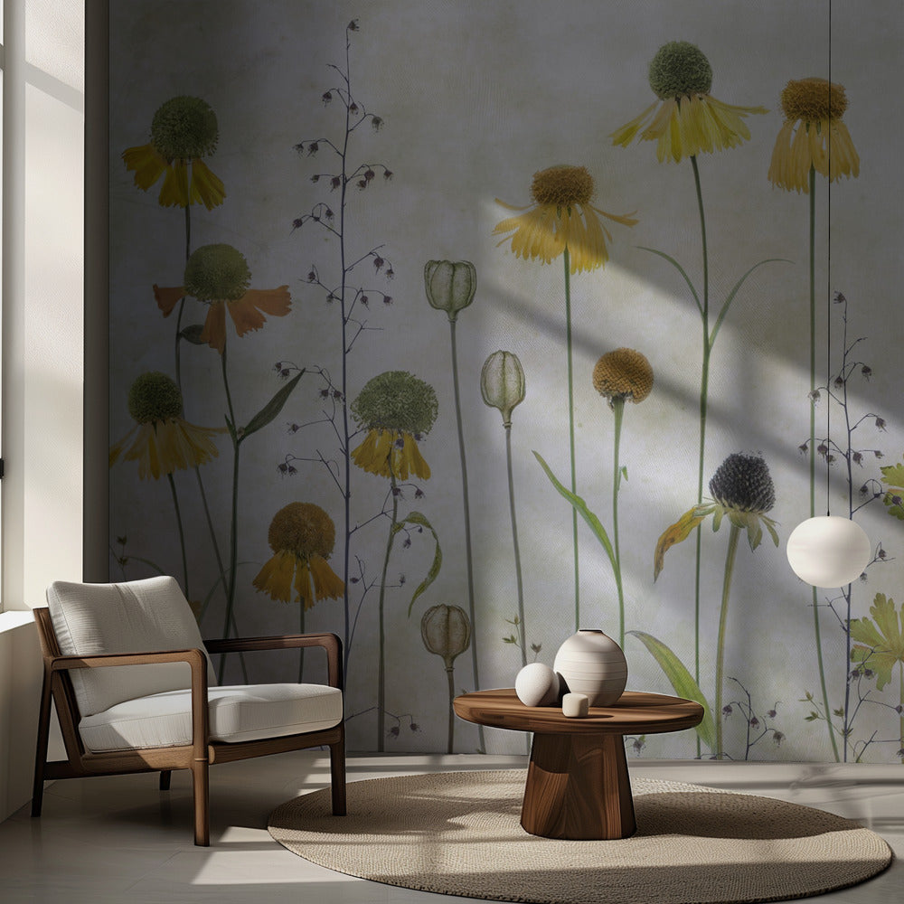 Helenium | Fond d'écran