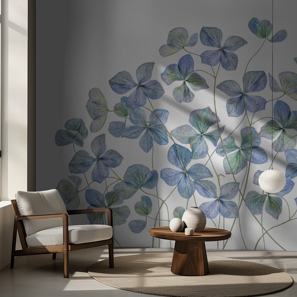 Hortensia | Papier peint