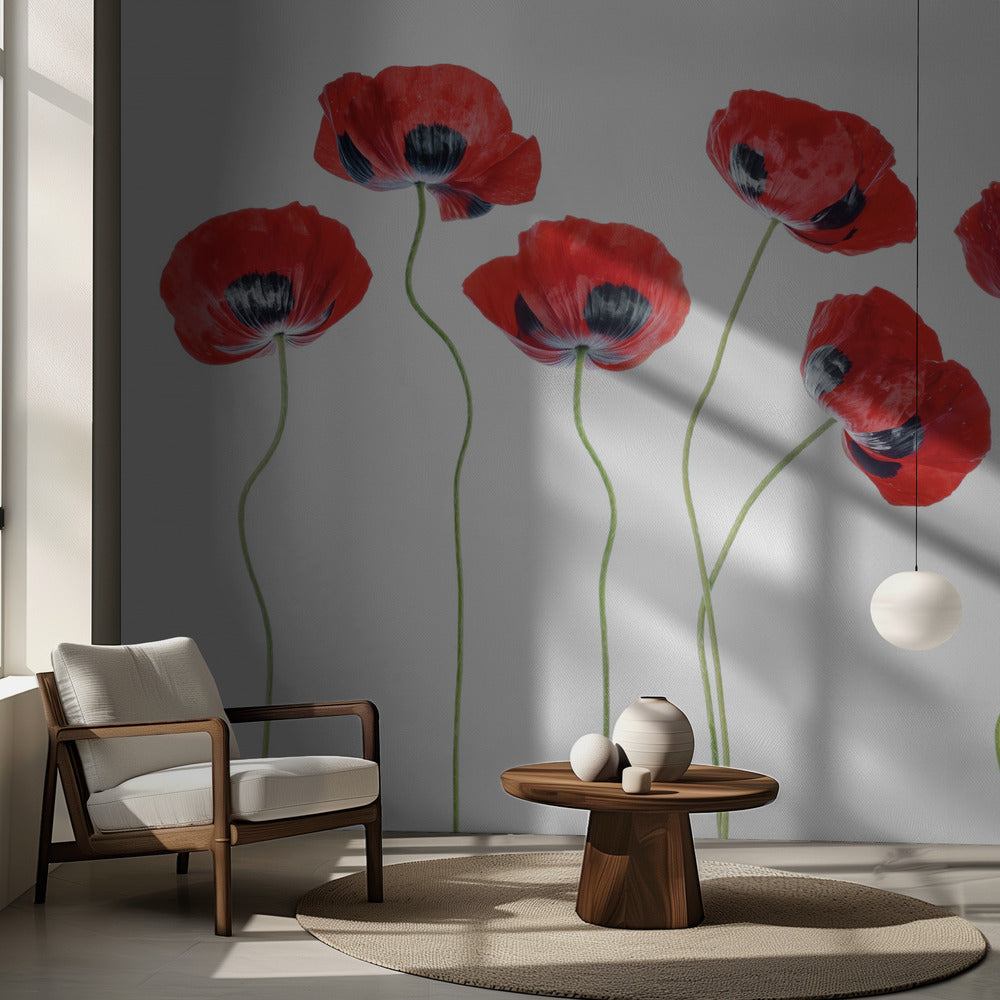 Coccinelles Coquelicots | Fond d'écran