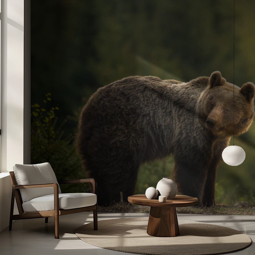 Ours rétroéclairé | Fond d'écran