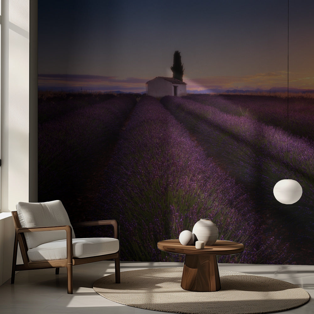 Lavande de Provence | Papier peint