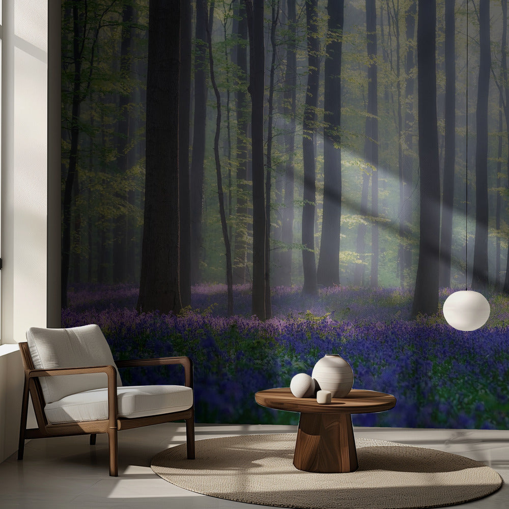 Jacinthes des bois | Fond d'écran