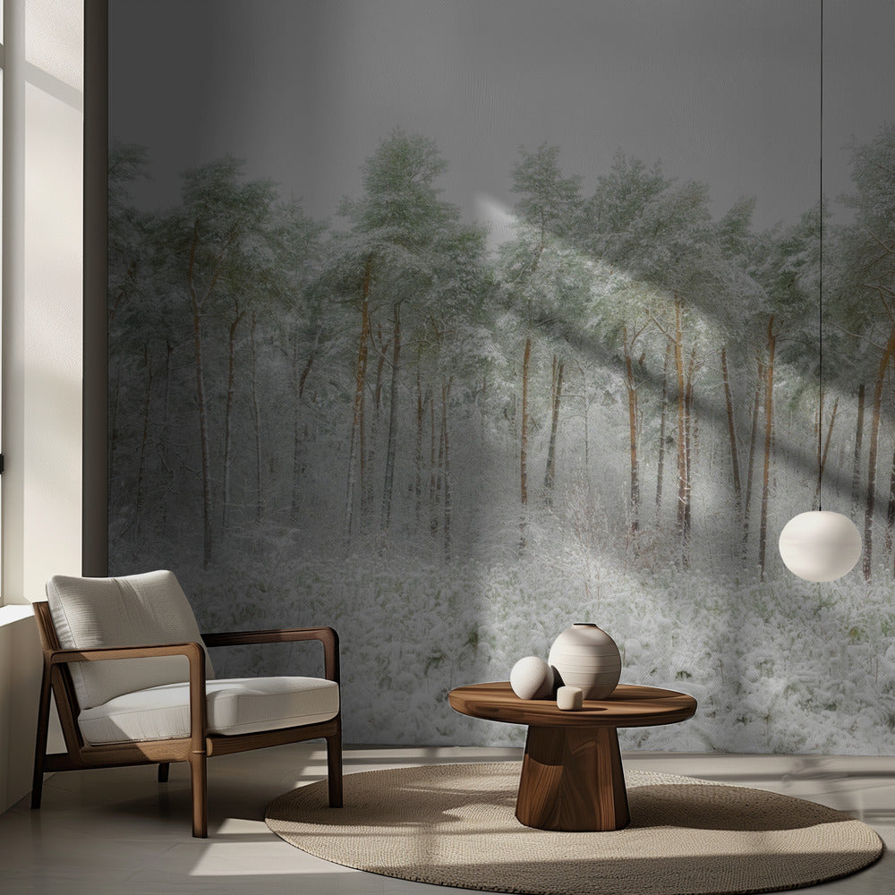 Monde enneigé | Fond d'écran