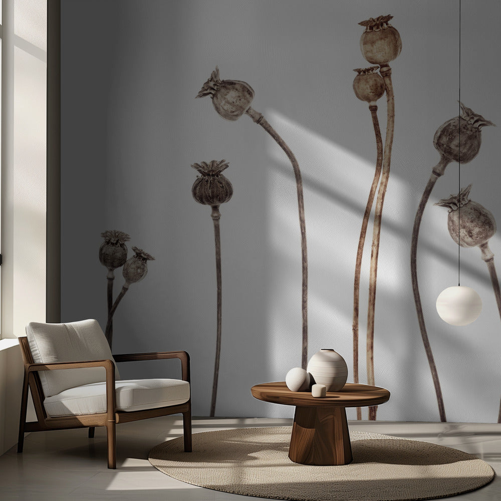 Coquelicots | Fond d'écran