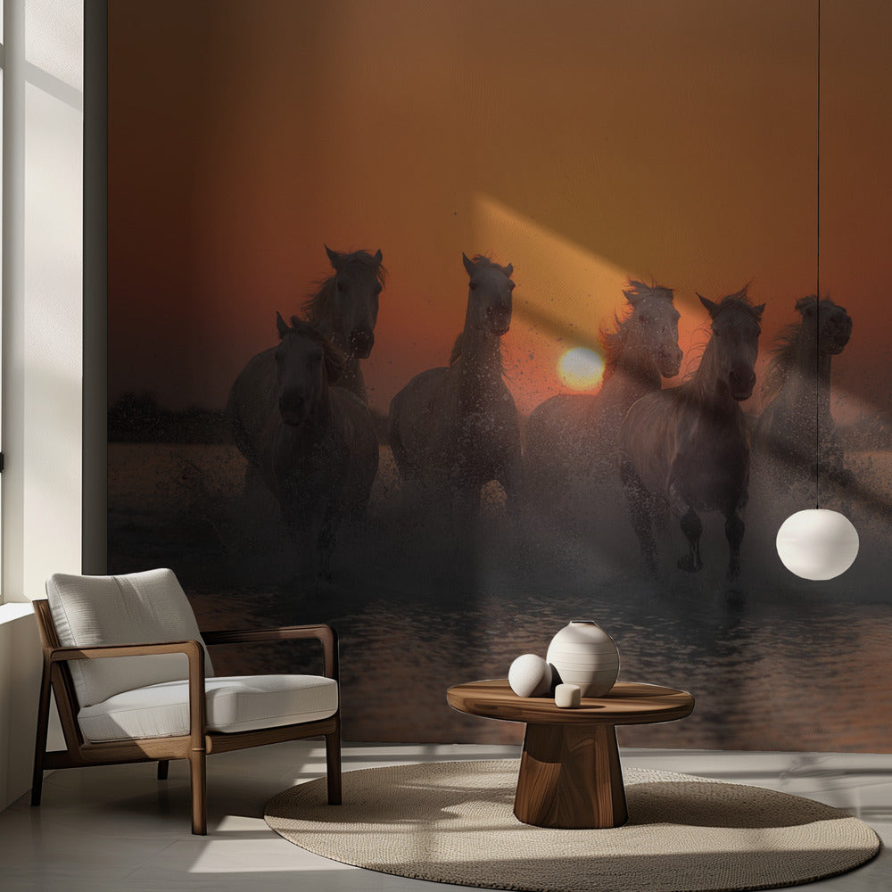 Coucher de soleil en Camargue | Fonds d'écran