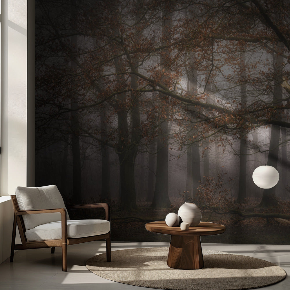 Souvenirs brumeux du passé | Fonds d'écran