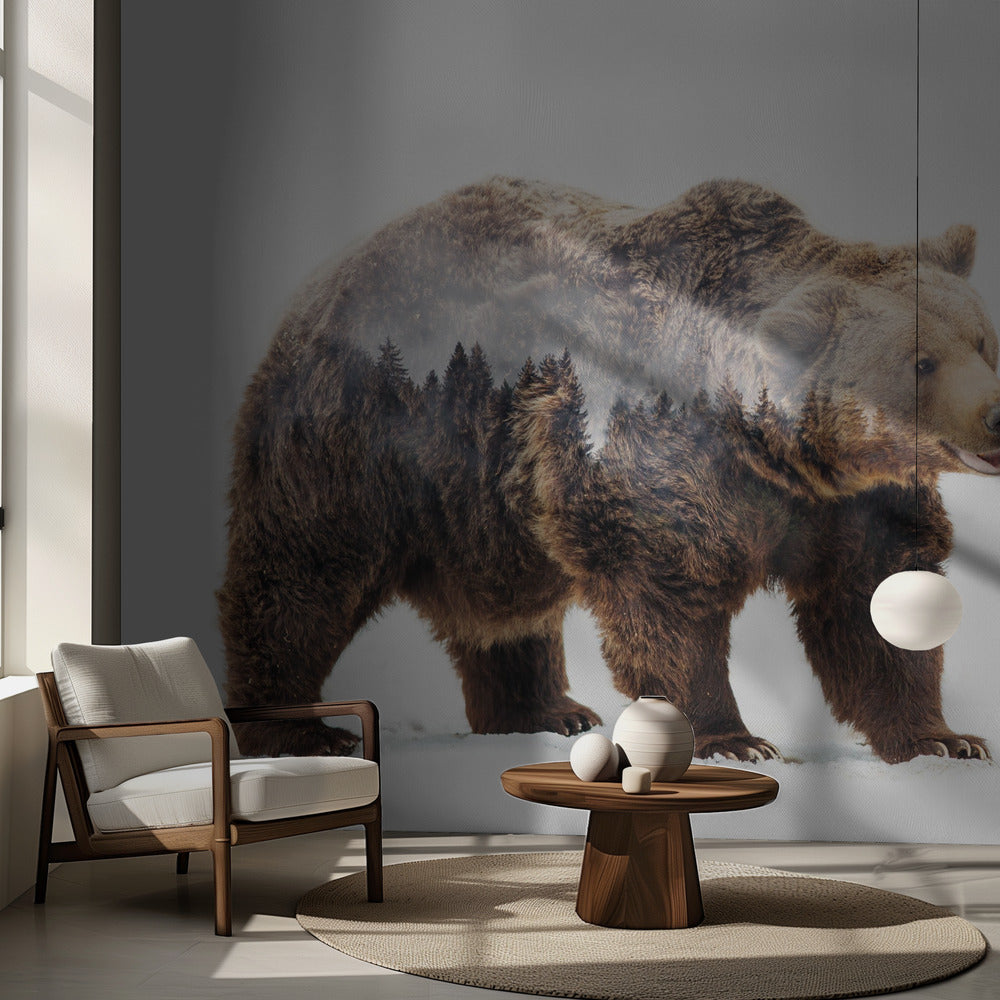 Ours | Fond d'écran