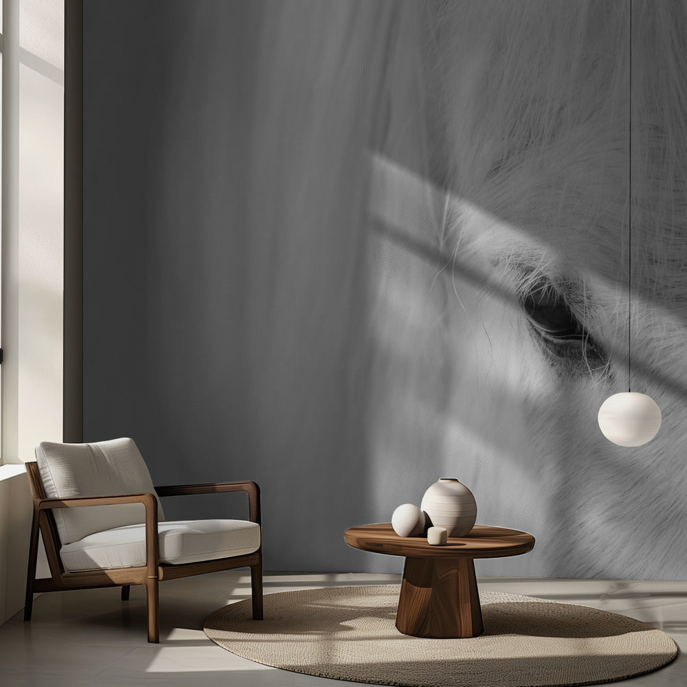 Murmure d'Islande | Fonds d'écran