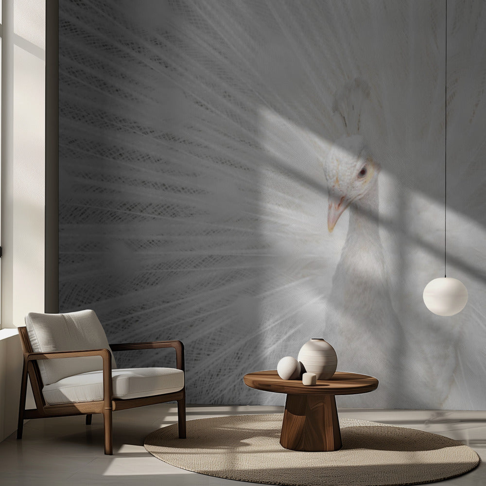 Splendide Whiteie | Papier Peint Photo