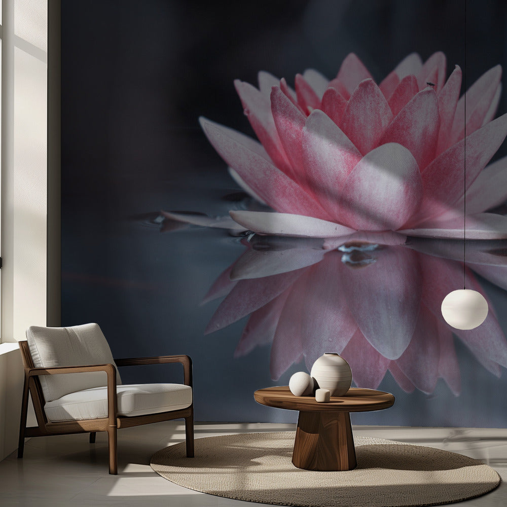 Padmasana | Fond d'écran