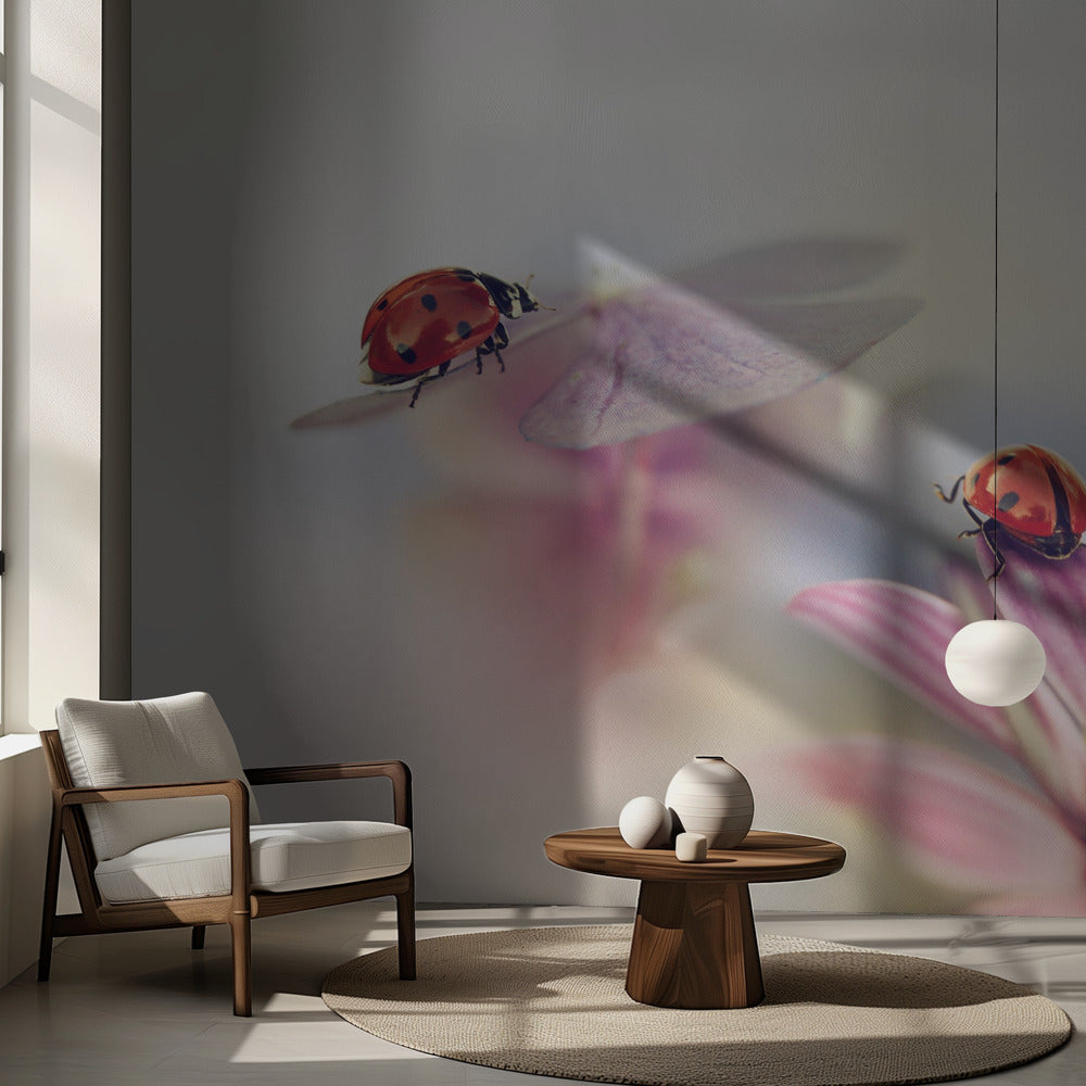 Derniers jours de l'été | Fonds d'écran