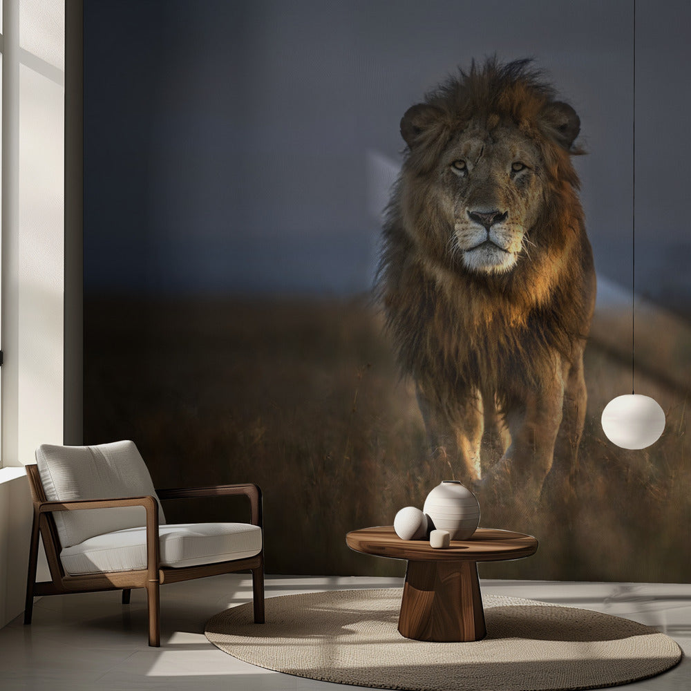 Gros plan d'un lion | Fond d'écran