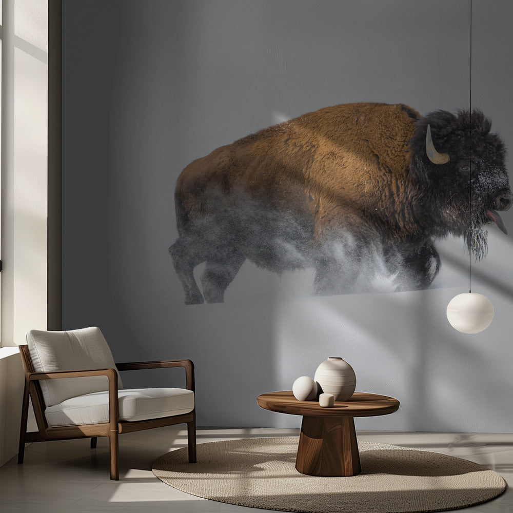 Bison dans la neige | Fond d'écran