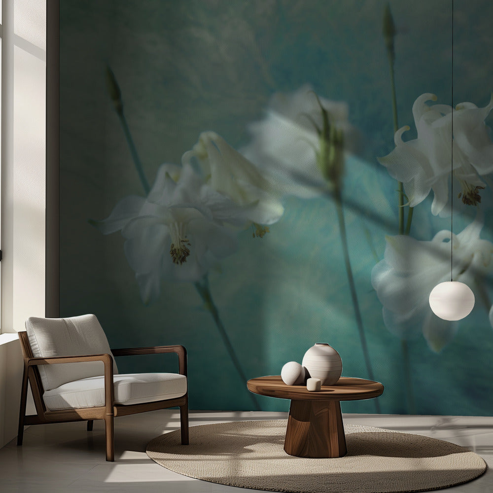 Couronnes d'épines | Fond d'écran