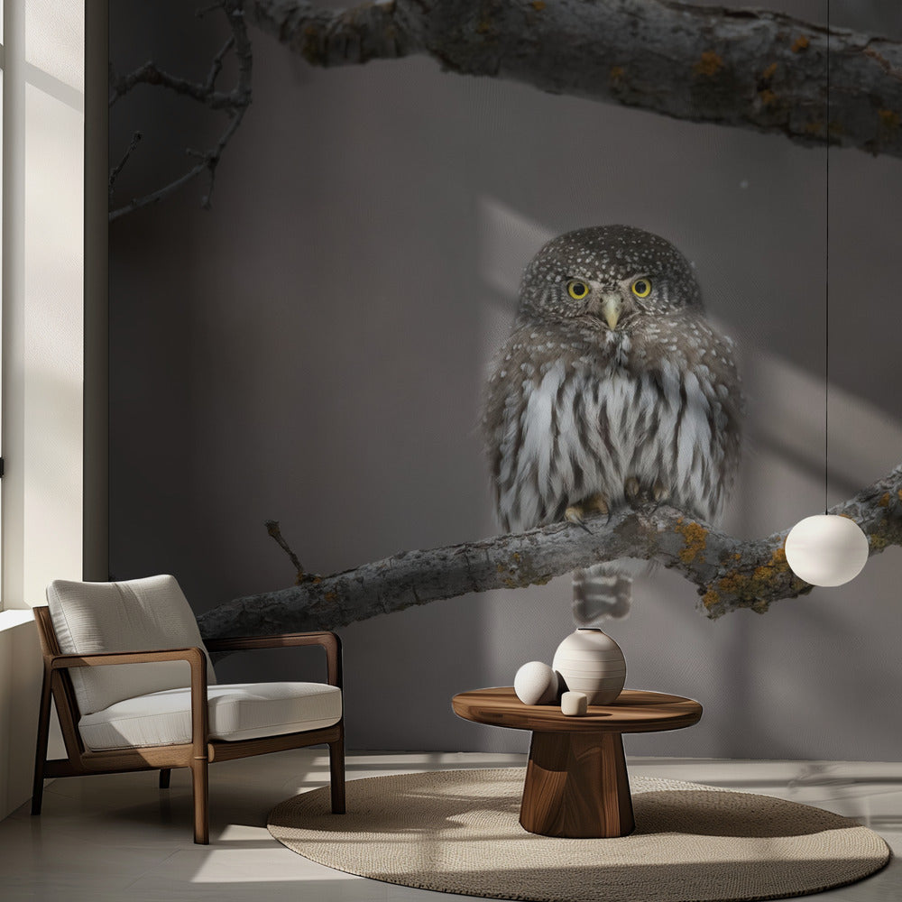 Petit bonhomme dans la neige | Fonds d'écran