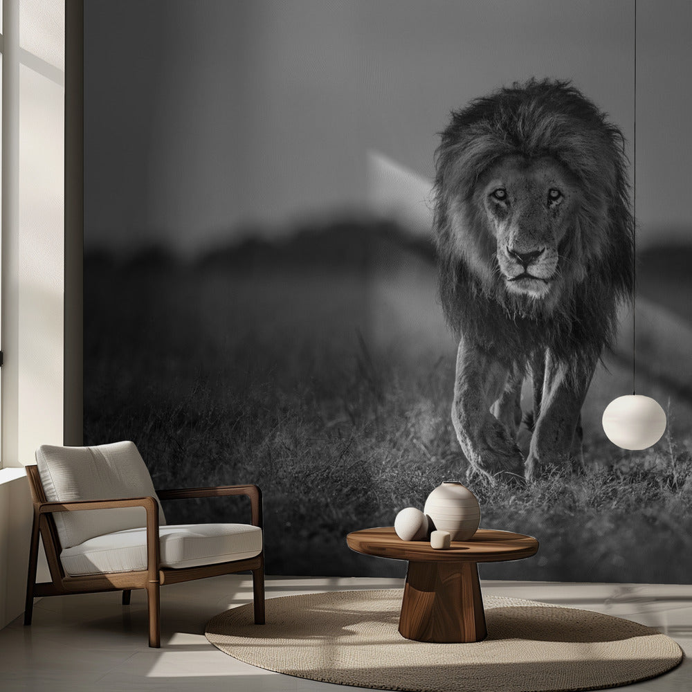 Vieux garçon | Fond d'écran