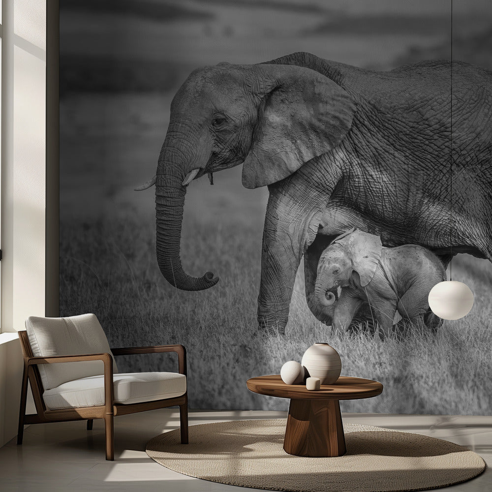 Rester proches et protégés | Fonds d'écran