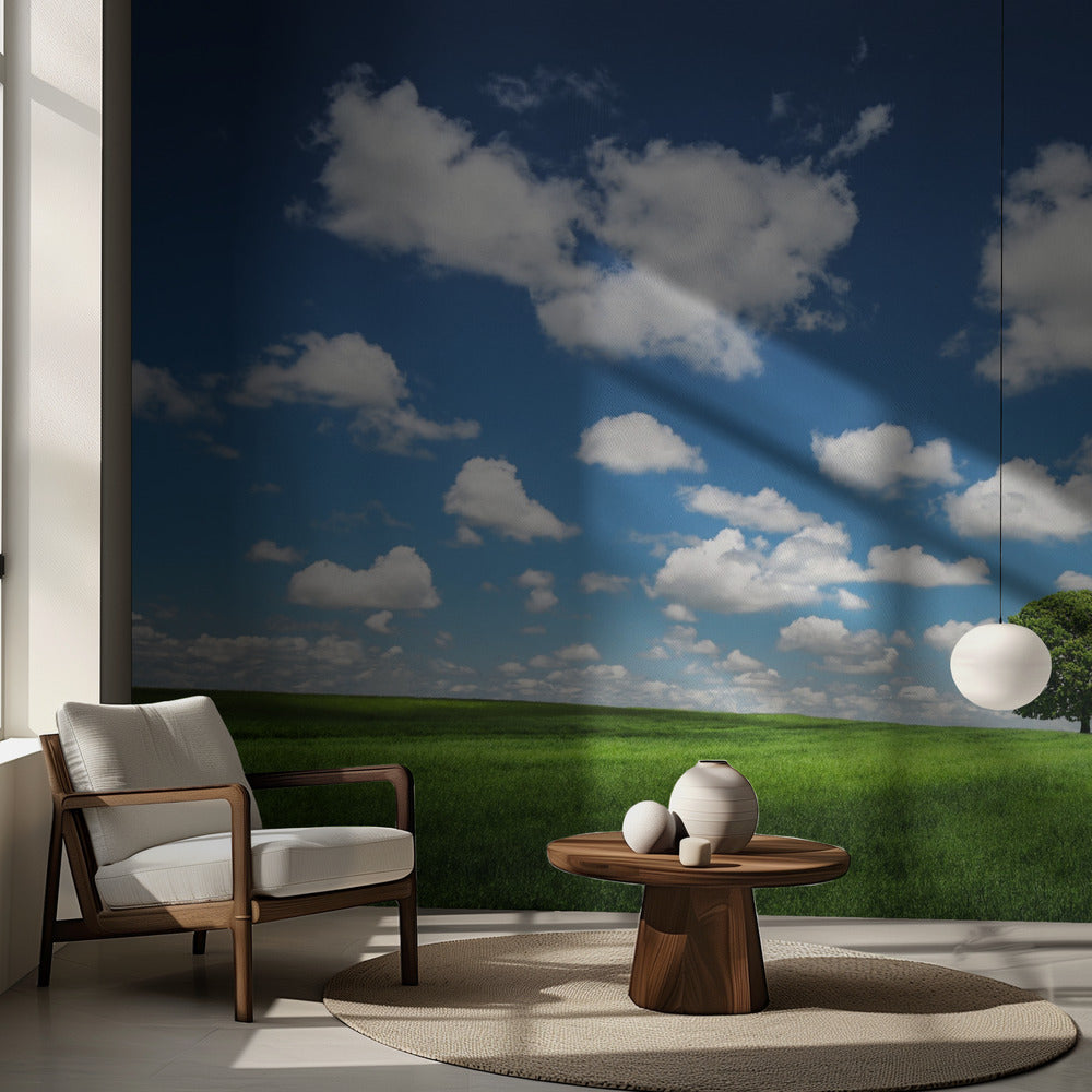 Arbre solitaire | Fond d'écran