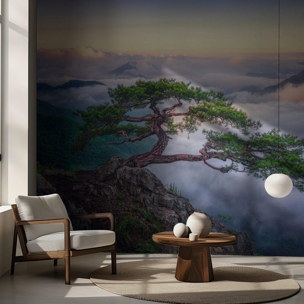 Sur le rocher | Fond d'écran