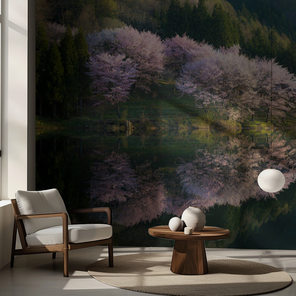 Sakura | Fond d'écran