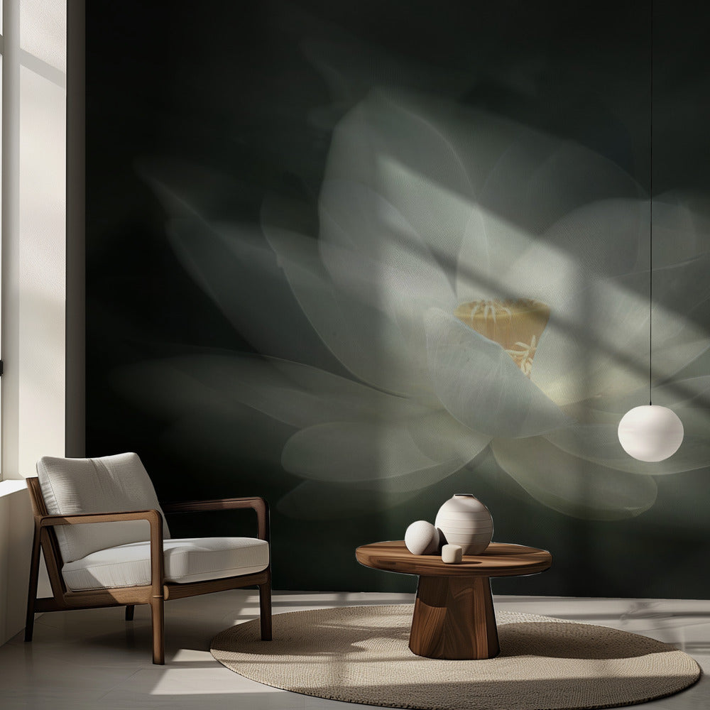 Balancement | Fond d'écran