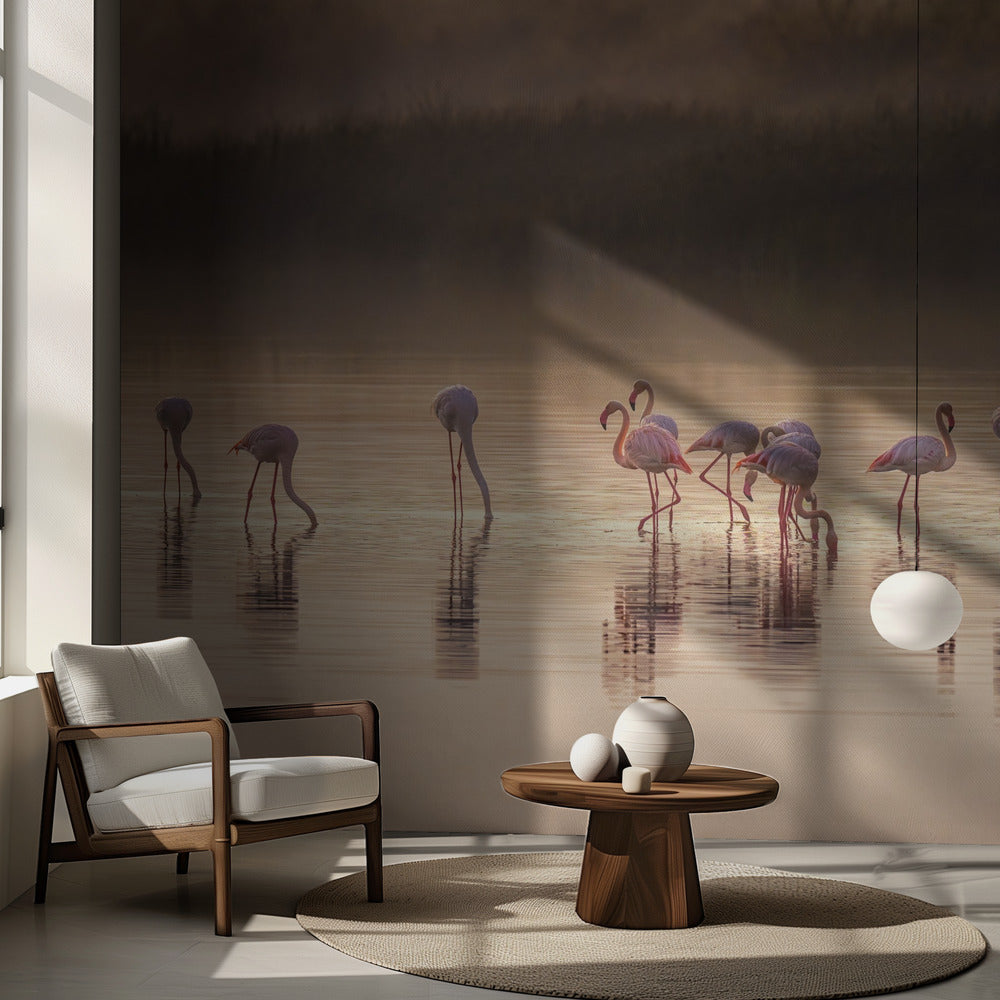 Hommage photographique à Monet | Fonds d'écran