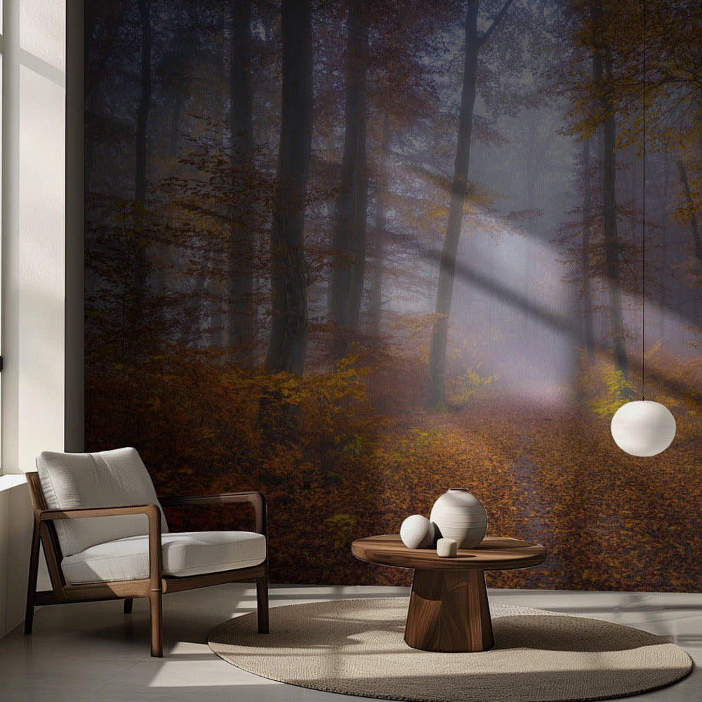 Sentier d'octobre | Fond d'écran