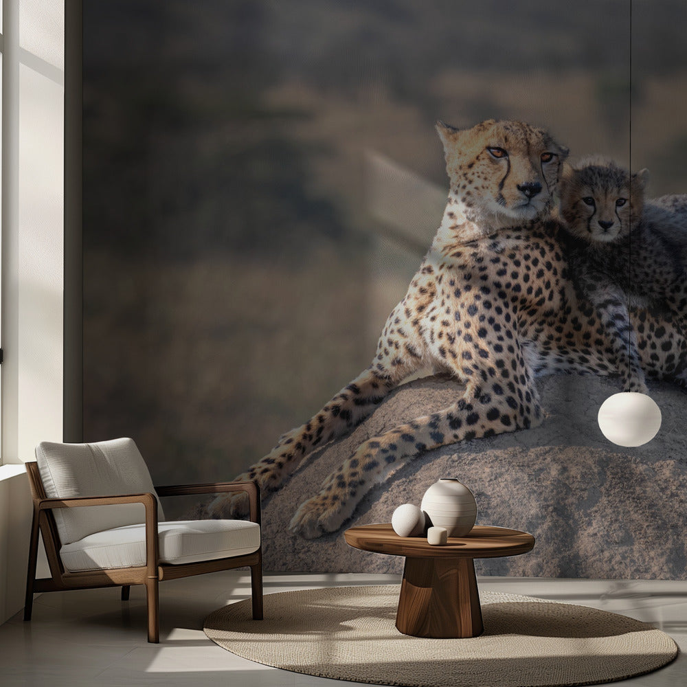 Guépard et tasse ! | Fond d'écran