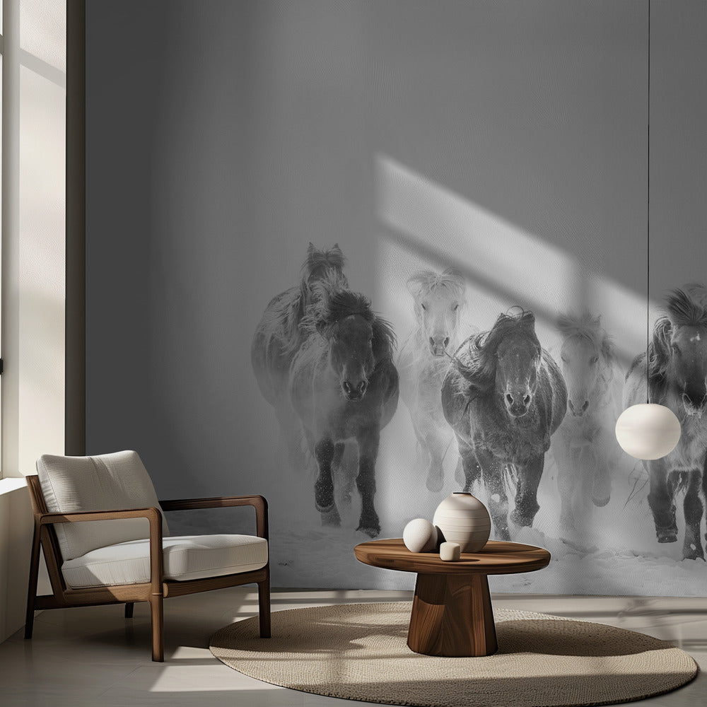 Courir dans la neige | Fonds d'écran