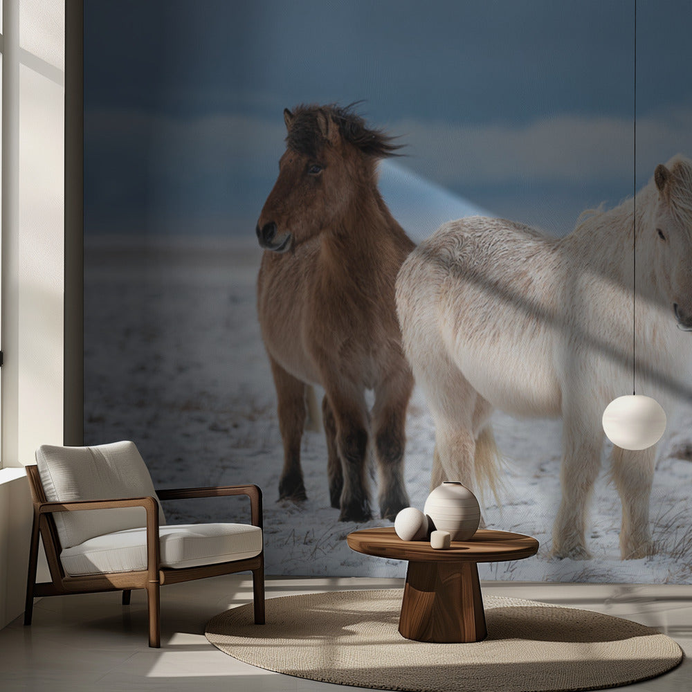 FRÈRES | Fond d'écran