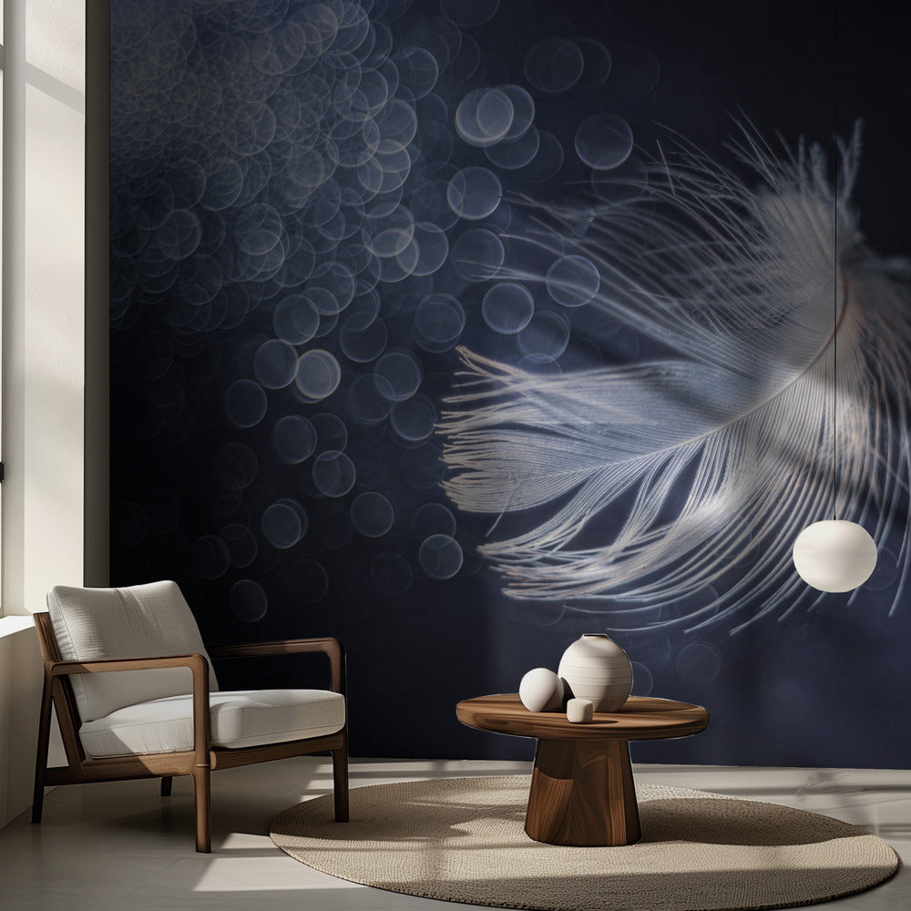 Placidité | Fond d'écran