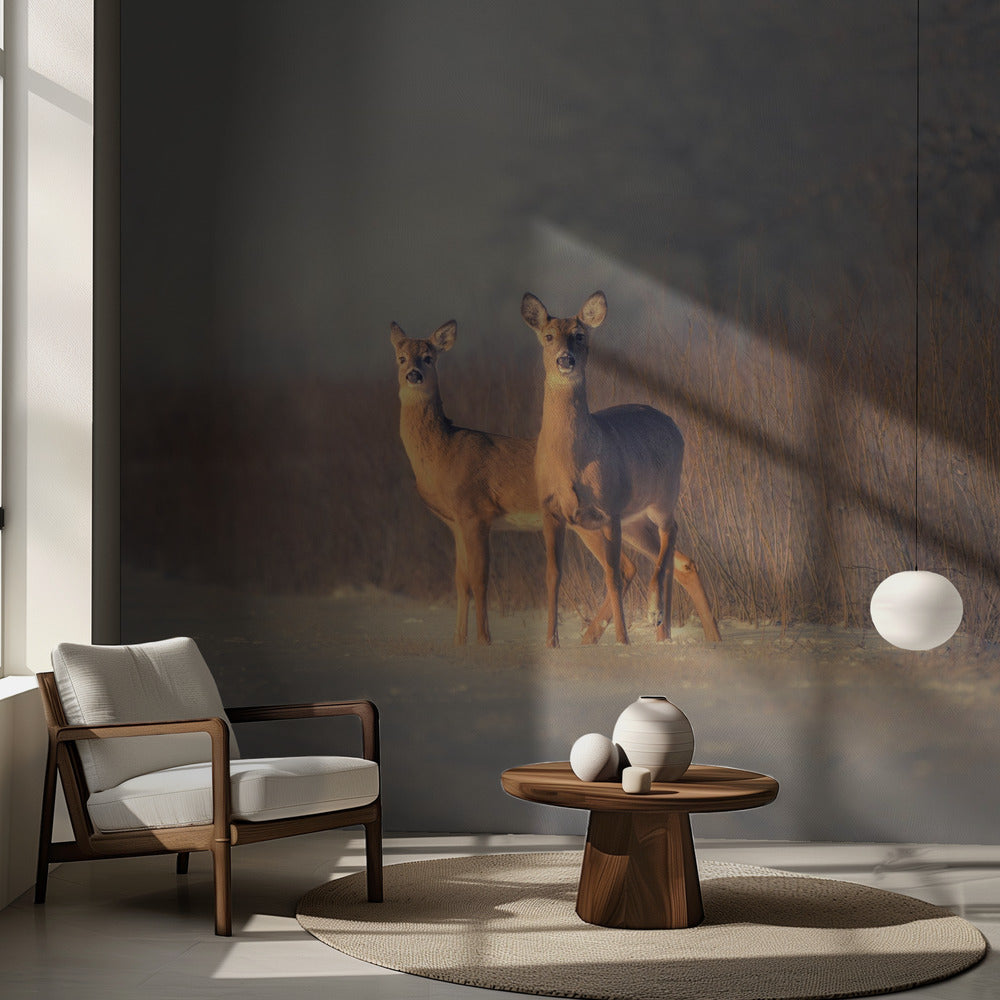 Trois Cerfs | Fond d'écran