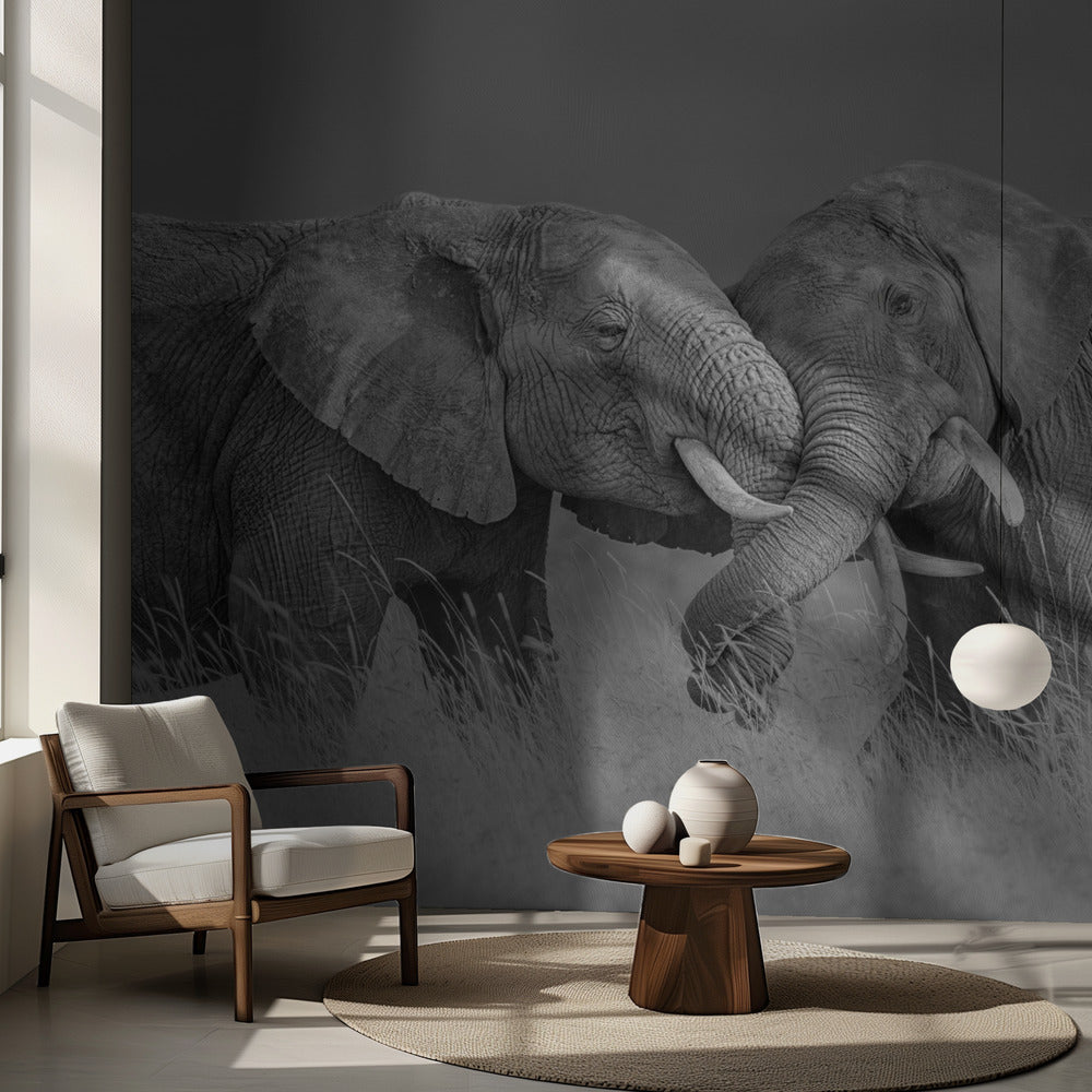 Vol d'éléphant | Fond d'écran