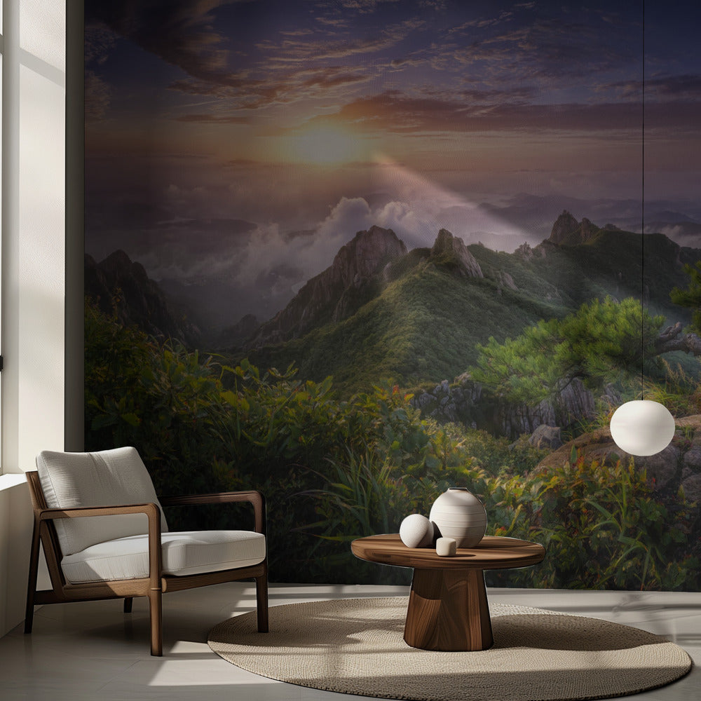 Pin sur le rocher | Fonds d'écran