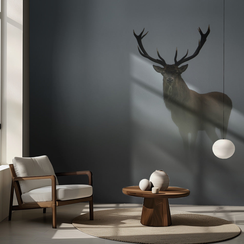 Éphémère | Fond d'écran